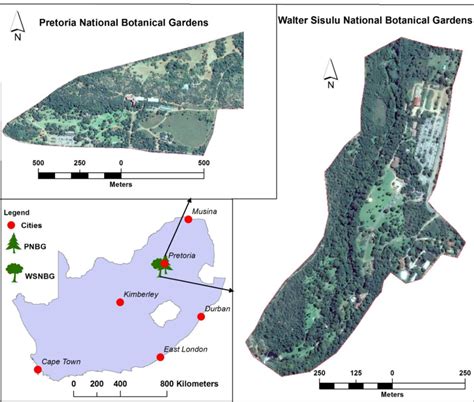 1: Geographical location of Walter Sisulu botanical garden and Pretoria... | Download Scientific ...