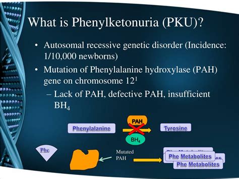 PPT - A Molecular View of Phenylketonuria PowerPoint Presentation, free download - ID:2045961