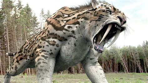 9 Extinct Animals That Could Be Resurrected One Day | Paleontology ...