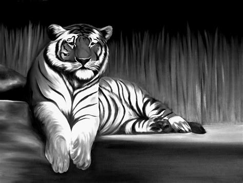 Black And White Tiger Painting by Xafira Mendonsa