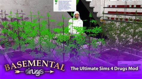 The Ultimate Sims 4 Drugs Mod 2017 - (Basemental Drugs) | The Sims 4 ...