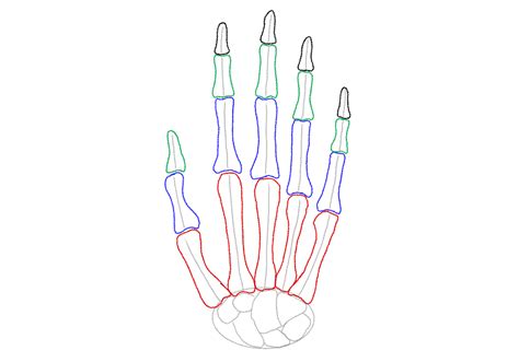 Skeleton Hand Drawing Step By Step Instructions Skeleton Hands Draw – NBKomputer