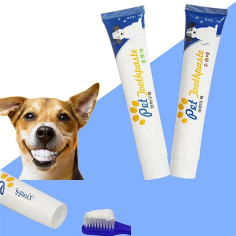 Dents dentifrice comestibles chien chiot chat soins hygiène buccale fournitures pour animaux de ...