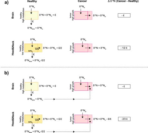 Illustration of the impacts of different ratios of metabolic N efflux... | Download Scientific ...