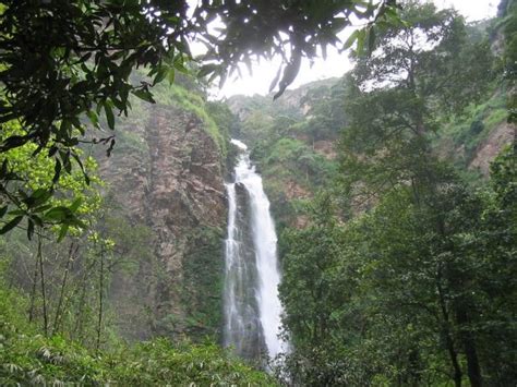 The Mesmerizing Wli Waterfalls of Ghana - Charismatic Planet