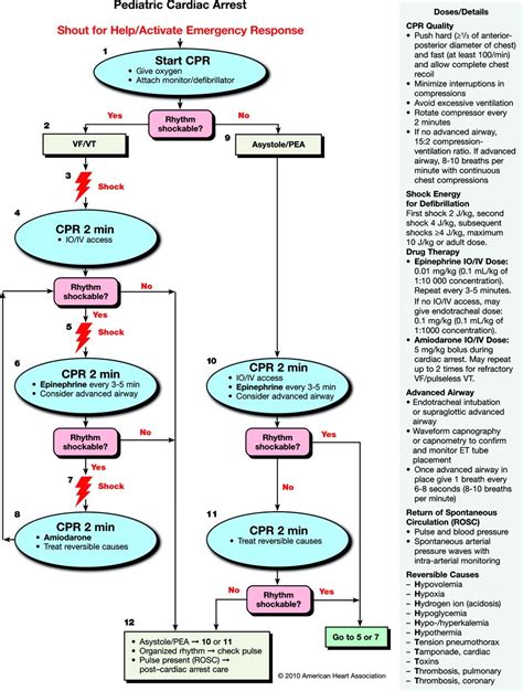 V Fib Treatment - theme-arabic