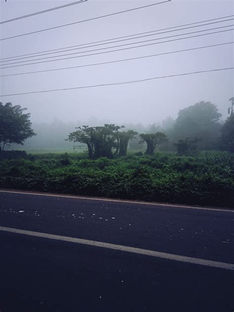 Taming Life: A morning walk in Manjeri, Kerala.