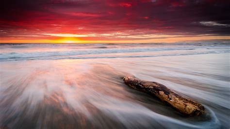 Download Horizon Driftwood Branch Sea Ocean Orange (Color) Sky Nature Sunset HD Wallpaper