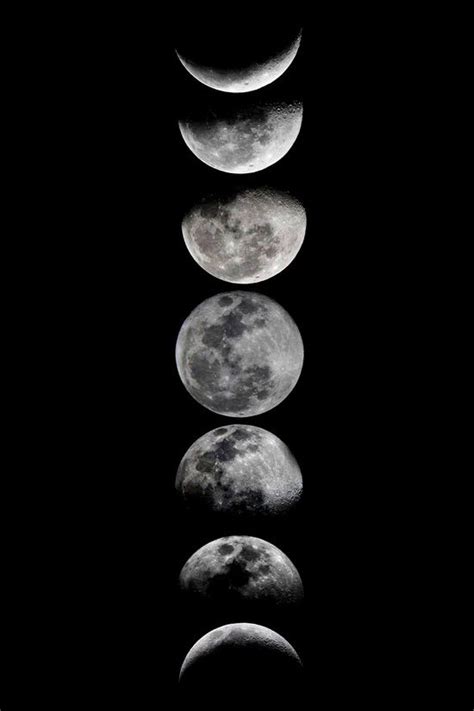 Phases of the Moon Art Print by Eftypography | Society6 | Moon art print, Moon art, Moon tattoo