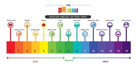 The PH Scale Universal Indicator PH Color Chart Diagram Stock Vector ...