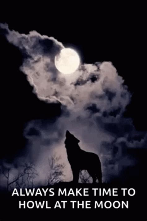 Full Moon Wolf Howl GIF | GIFDB.com