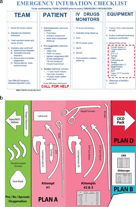 Emergency Airway Management Part 3: Intubation The, 60% OFF