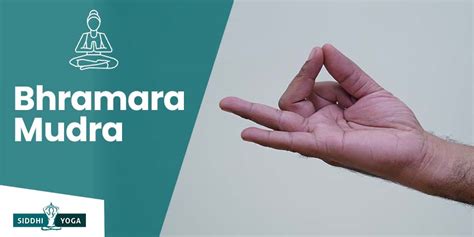 Brahmara Mudra: Meaning, Benefits, & How to Do | Siddhi Yoga