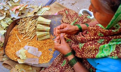 Beedi Leaves:టెండూ ఆకుల గురించి ఎప్పుడైనా విన్నారా