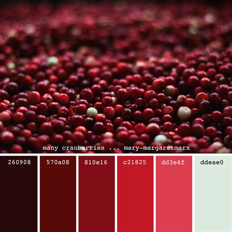 many cranberries ... mary-margaretmarx #color #colors #colour #colours #colorpalette # ...