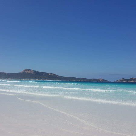 Lucky Bay (Esperance) - 2018 All You Need to Know Before You Go (with Photos) - TripAdvisor