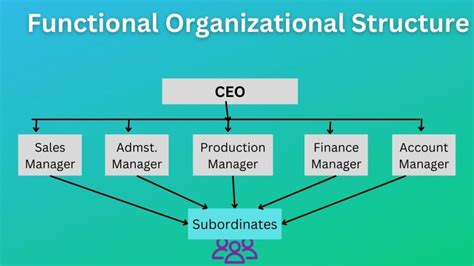 What is Functional Organizational Structure? Definition, & Pros/Cons