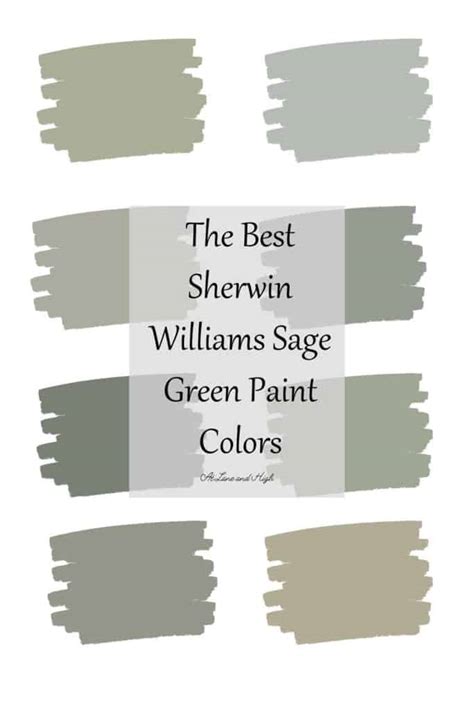 The 8 Best Sherwin Williams Sage Green Paint Colors