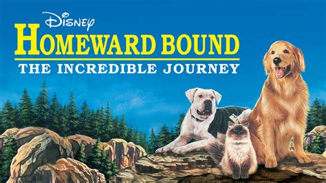 Homeward Bound: The Incredible Journey - Movie - Where To Watch