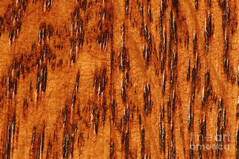 Macro of Oak Wood Grain Photograph by Mark Winfrey - Fine Art America