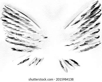 Watercolor Drawing Angel Wings Stock Illustration 2015984138 | Shutterstock