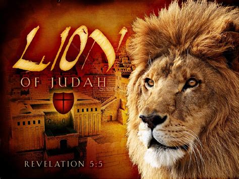 10 Latest Lion Of Judah Images FULL HD 1080p For PC Background 2023