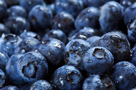 Blueberries: Fruit quality - Agri Technovation