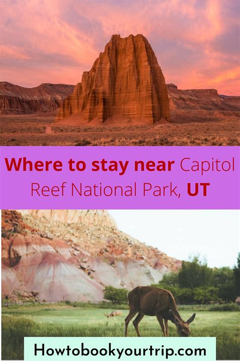 Where to stay near Capitol Reef National Park, UT in 2023 | Capitol reef national park, National ...