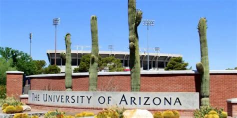 Global Wildcat Freshman Tuition Award At University Of Arizona USA