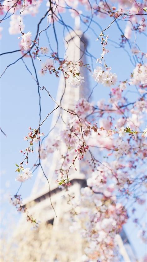 Spring In Paris Wallpapers - Wallpaper Cave