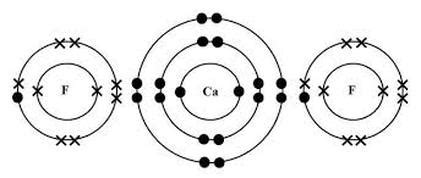 Periodic Trends