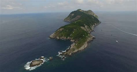 Brazil's Snake Island: the deadliest place on the planet