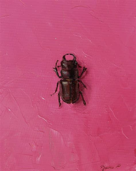 Nicole Parish- Artist on Instagram: “Stag beetle! Their name comes from ...