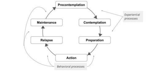 Diagram of the Stages of Change in the Transtheoretical Model, with... | Download Scientific Diagram