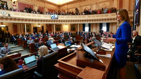 Local state delegates seek to fend off inter-party challenges in Tuesday’s Virginia House ...