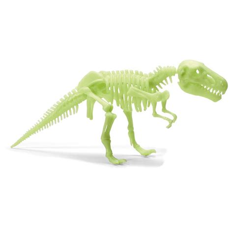 Glow Dinos T Rex Skeleton – Hauck North America