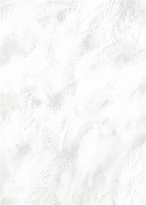 Feather White Background Wallpaper Image For Free Download - Pngtree