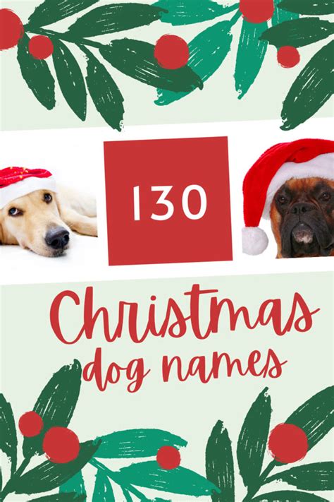 Christmas Dog Names | Dog names, Boy dog names unique, Girl dog names