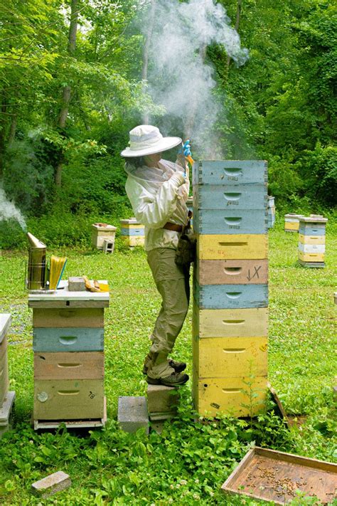 Our 1st Hive we pulled Honey from at 10:00am this morning. We harvested ...