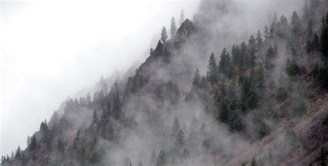 Misty Mountains Photograph by Whispering Peaks Photography