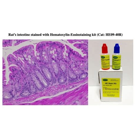 Hematoxylin Eosin Staining KIT