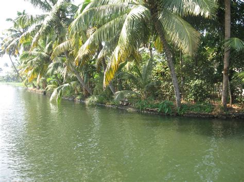 File:Kerala Backwaters Kuttanad.JPG - Wikipedia