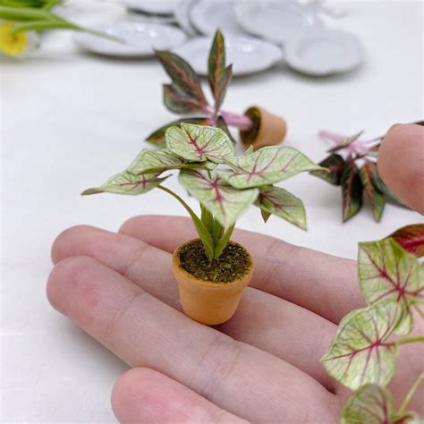 Miniature Plants, Miniature Dollhouse Fairy Garden, Dollhouse Flower ...