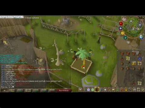 Runescape Farming Guide - Fruit tree + Calquat locations and how to get ...