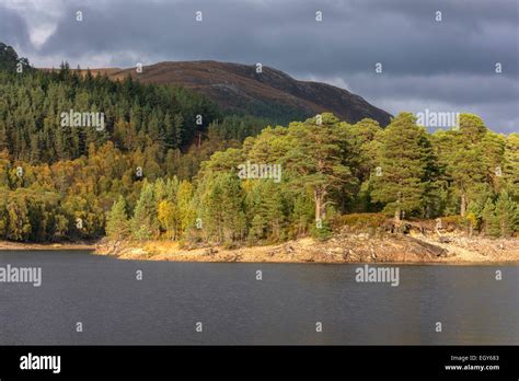 Glen affric scotland hi-res stock photography and images - Alamy