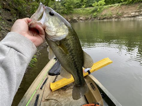 Beginner Kayak Fishing Tips! - Paddling Life