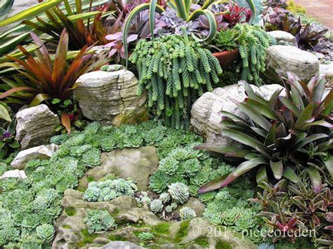 Sherman Gardens "Coral Reef" Succulent Bed