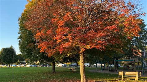 Burlington Vermont October 2021: Weather for fall leaf peeping