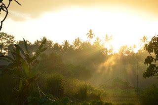 Ubud Bali | Sunrise in Ubud. Read more on Bali eGuide. | eGuide Travel | Flickr