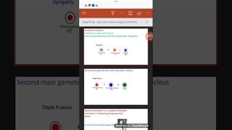 Define Syngamy and Triple fusion - YouTube